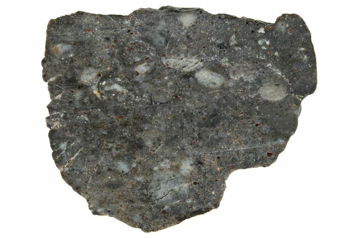 Lunar Meteorite ( g) Slice - Laayoune #291638